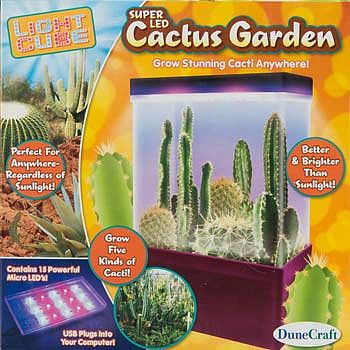 Dunecraft Light Cube Mini-Cactus Garden