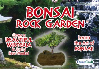 Dunecraft Bonsai Rock Garden Kit