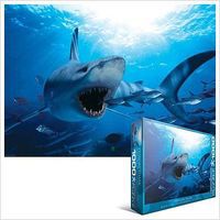 Hungry Shark (1000pc)