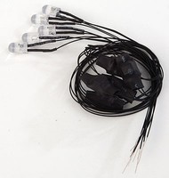 Evans LED 5mm 19v Flash WrmWht