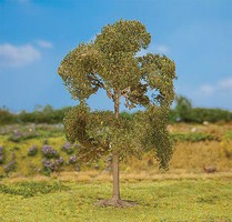 Premium Oak Tree