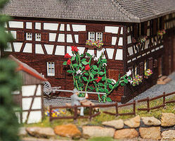 Climbing Roses (6)