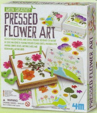 4M-Projects Pressed Flower Art Kit Activity Craft Kit #4565
