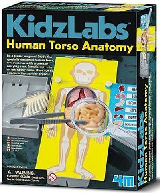 4M-Projects Human Torso Body Science Kit