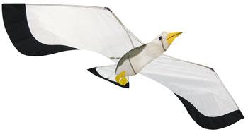 Gayla Seagull 3D 63 Single-Line Kite #1321