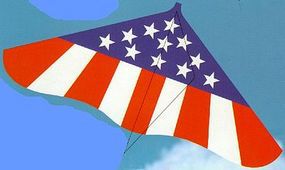 Gayla 42''x22'' Spirit of America Delta Wing Kite Single-Line Kite #181