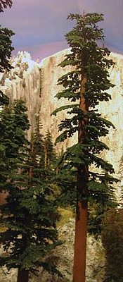 Grand-Central Small Redwood Trees 6 - 9 (2) Model Railroad Tree #t42