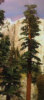 Grand-Central Small Redwood Trees 6'' 9'' (2) Model Railroad Tree #t42