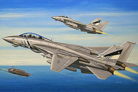 HobbyBoss F-14D Super Tomcat