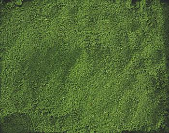 Hobbico Ground Cover- Green Mission Project Accessory #y9512
