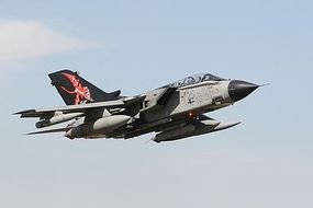 Tornado IDS/ECR Special Colors