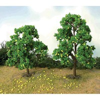 JTT Lemon Trees 2.5''-3.5''