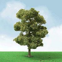 JTT European Plane Tree