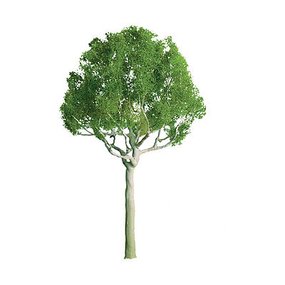 JTT Round Head Trees (6) Z Scale Model Railroad Tree #94248