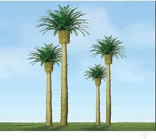 JTT Phoenix Palm Trees