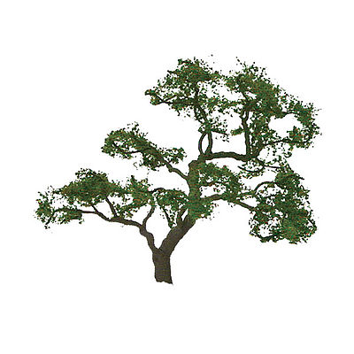 JTT Beech Trees N Scale Model Railroad Tree #94429