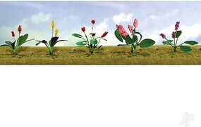 Assorted Flower Plants - Set #2