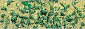 JTT Watermelon Patch