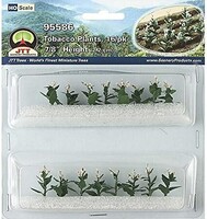 JTT Tobacco Plants