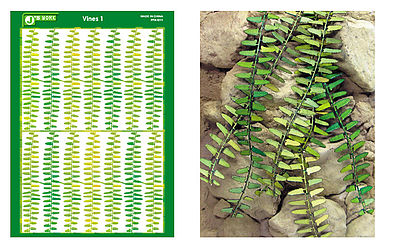 JsWorks Multi-Scale Vines (Colored Paper)