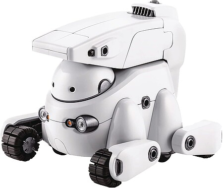 kotkp601