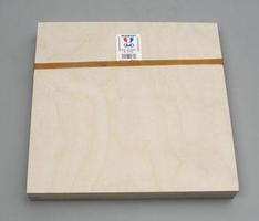 Midwest Plywood Bdl 12mm 12x12''3/ (3)