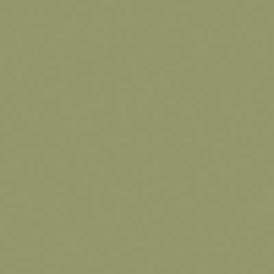 Mission US Army Olive Drab Faded 2 Hobby and Model Acrylic Paint #21