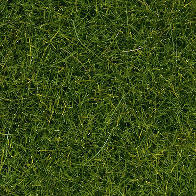 Noch Light Green Short Fiber Wild Grass (100g Plastic Tub) #7092