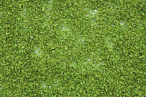 Noch Light Green Foliage (100g Plastic Tub) Model Railroad Grass Earth #7152