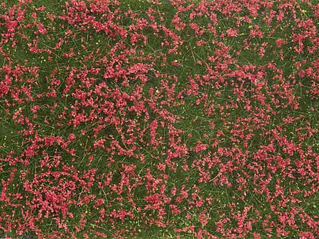Noch Groundcover Meadow Red