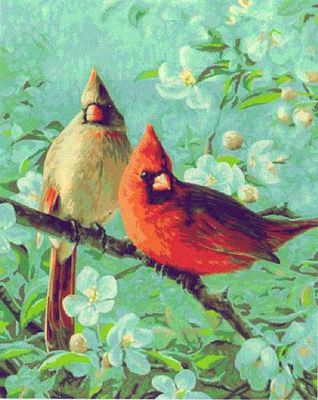 Plaid Cardinals & Cherry (16x20) Paint By Number Kit #21737