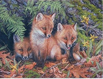 Plaid Three Amigos (Foxes/Forest) Paint by Number (20x16)