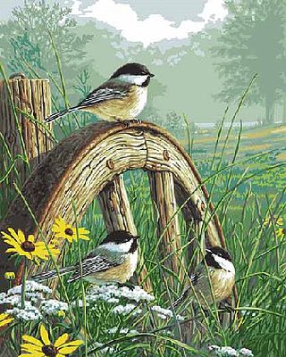 Plaid Meadows Edge with Songbirds (16x20) Paint By Number Kit #22036