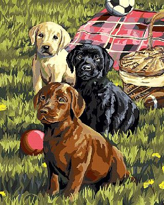 Plaid Puppy Clinic Paint By Number Kit #22079
