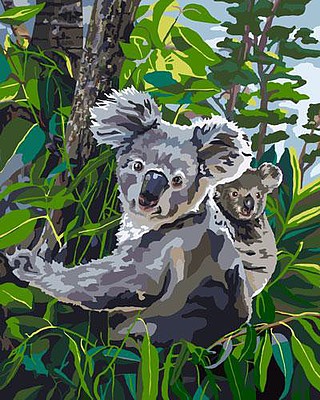 Plaid Koala Reign (16x20) Paint By Number Kit #22600