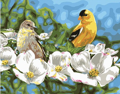 Plaid Gold & White (Finches/Dogwood)(20x16) Paint By Number Kit #26743