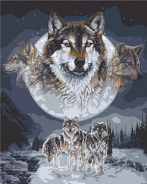 Plaid Wolf Dreamcatcher (16x20) Paint By Number Kit #59775
