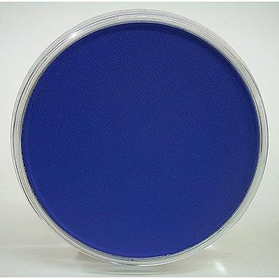 Panpastel Ultramarine Blue Shade Pigment 9ml Hobby and Model Craft Paint Pigment #25203