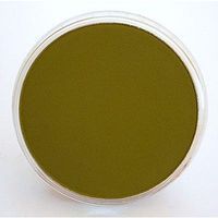 Panpastel Raw Umber Pigment 9ml