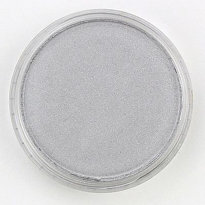 Panpastel Metallic Silver Pigment Hobby and Model Craft Paint Pigment #29205