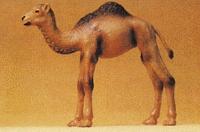 Preiser Camel Calf Model Railroad Figure 1/25 Scale #47532