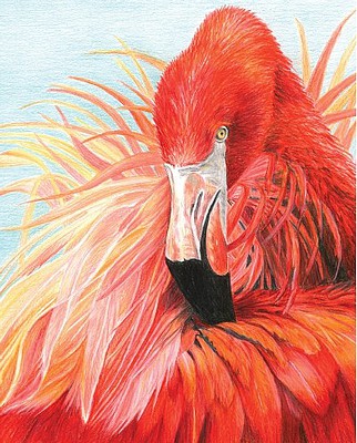 Royal-Brush Flamingo (8.75x11.75) Pencil By Number Kit #37366