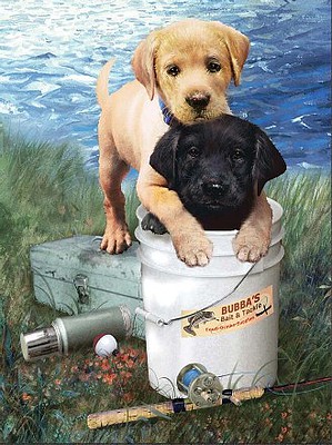 Royal-Brush Fishin Buddies (Puppies)(8.75x11.75) Paint By Number Kit #37395
