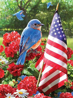 Royal-Brush Patriotic Bluebird with American Flag (8.75x11.75) Paint By Number Kit #37396