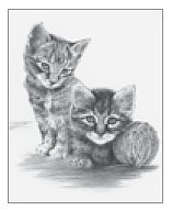 Royal-Brush Kittens w/Ball of Yarn Sketching Made Easy Age 8+ (11.25x15.375)
