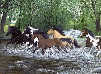 Royal-Brush Free Spirits (Galloping Horses/Stream)(11.25x15.375) Paint By Number Kit #5668