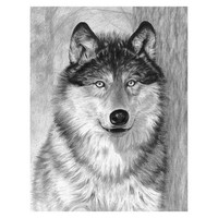Royal-Brush Alpha (Wolf Face) Sketching Made Easy Age 8+ (11.25''x15.375'')
