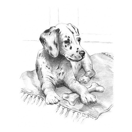 Royal-Brush Dalmatian Pup Sketching Made Easy Age 8+ (11.25x15.375)