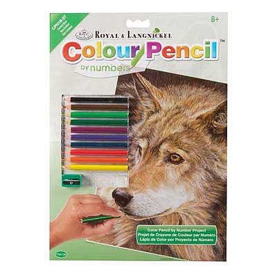 Royal-Brush CPN Curious Eyes Pencil By Number Kit #cpn18