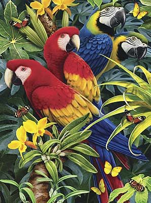 Royal-Brush PBN JR Small Majestic Macaws Paint By Number Kit #pjs83